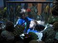 Legoland 17